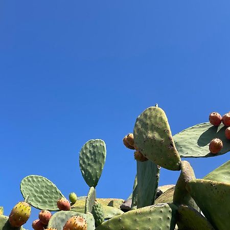 Villa Gioia Ostuni Eksteriør billede