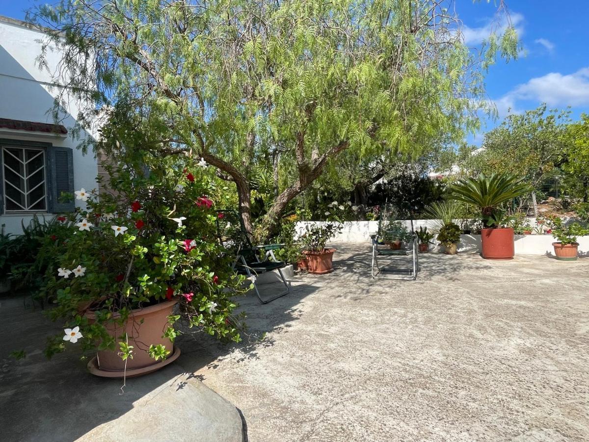 Villa Gioia Ostuni Eksteriør billede
